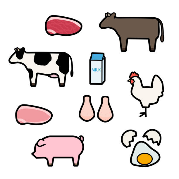 Simple And Cute Illustration Set Of Livestock And Livestock Products Stock  Illustration - Download Image Now - iStock