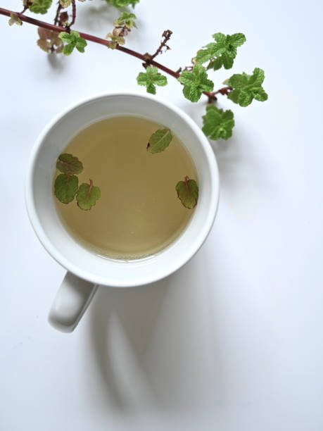 istock Flatlay close up of white cup with mint tea next to mint plant branch on white surface with copy space 1318965152