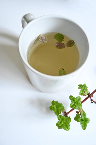 istock Close up of white cup with mint tea next to mint plant branch on white surface with copy space 1318965188