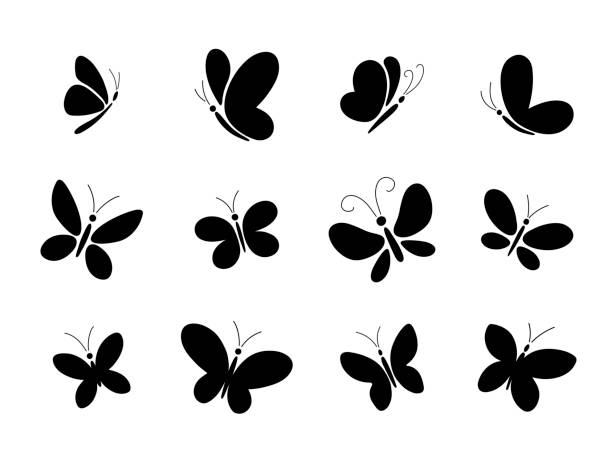 ilustraciones, imágenes clip art, dibujos animados e iconos de stock de conjunto de diferentes siluetas de mariposa negra para el diseño. - mariposa lepidópteros
