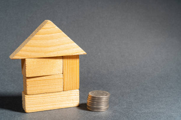 istock Wooden house and coins. 1318968103