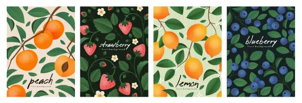 Vector illustration of Fruit poster set