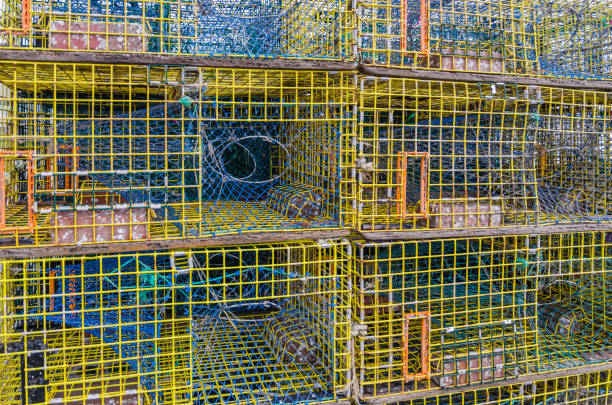 A pile of lobster trap left to dry in the sun.