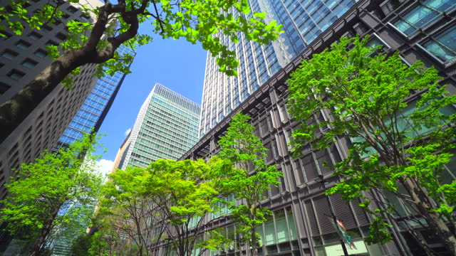 Modern office buildings and trees