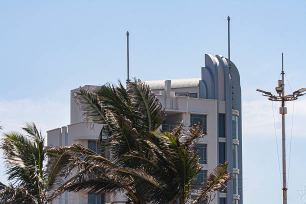 istock Tall Palm Trees in Front of Tall Apartment Building 1318975651
