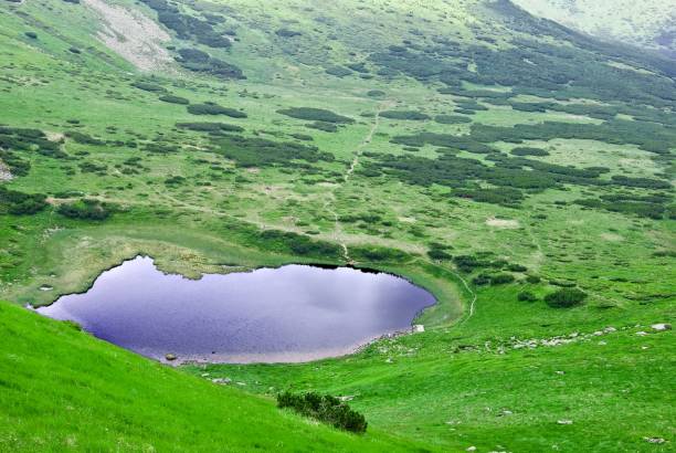 istock violet lake in a mountain valley 1318975912