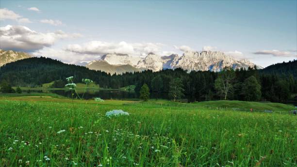 istock Beautiful Bavarian landscape in the Alps 1318976915
