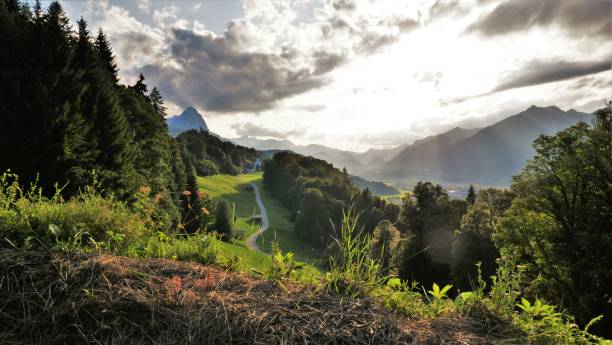 istock Beautiful Bavarian landscape in the Alps 1318977066