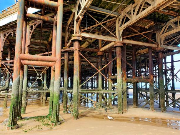 ブラック - blackpool illuminated blackpool tower vacations ストックフォトと画像