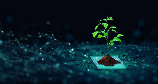 Green Computing, Green Technology, Green IT, csr, and IT ethics Concept. Tree with soil growing on  the converging point of computer circuit board. Blue light and wireframe network background. Green Computing, Green Technology, Green IT, csr, and IT ethics Concept. green technology stock pictures, royalty-free photos & images