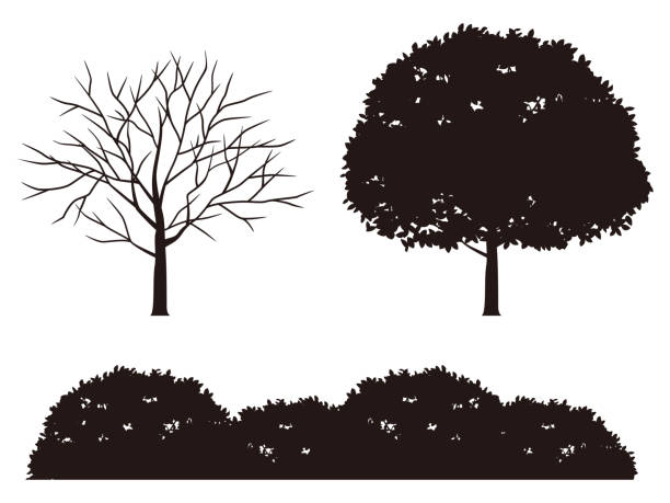 Tree silhouette illustration. Lots of leaves. Tree silhouette illustration. Lots of leaves. treelined stock illustrations