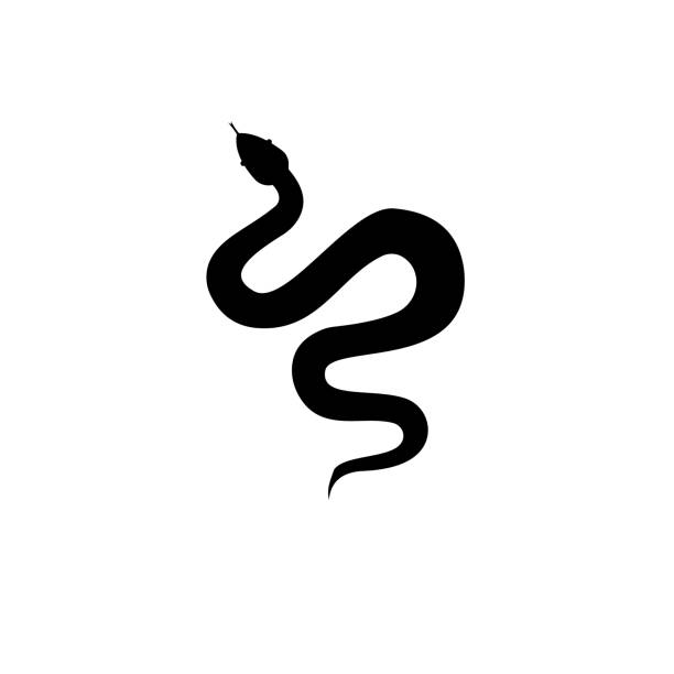 Snake A silhouette of a black snake that crawls and pulls out its tongue Boa stock illustrations