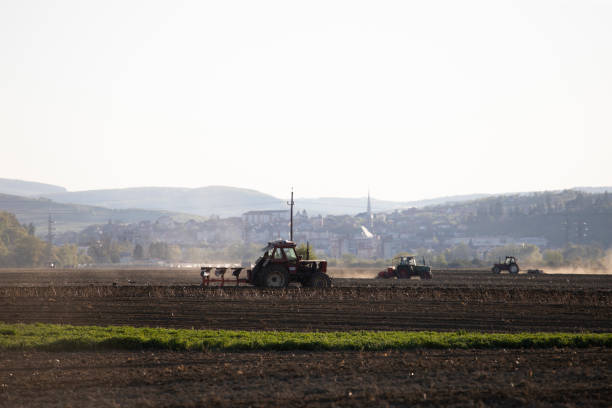 istock Tractor cultivating field at spring 1318985971