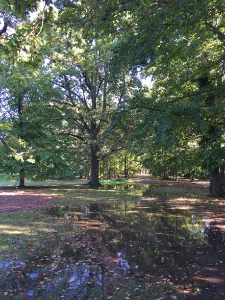 istock Cherry Hinton Park Cambridge England UK 1318987139
