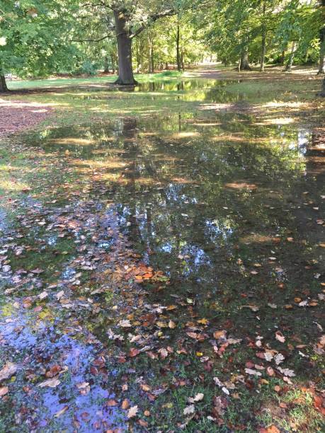 Cherry Hinton Park Cambridge England UK