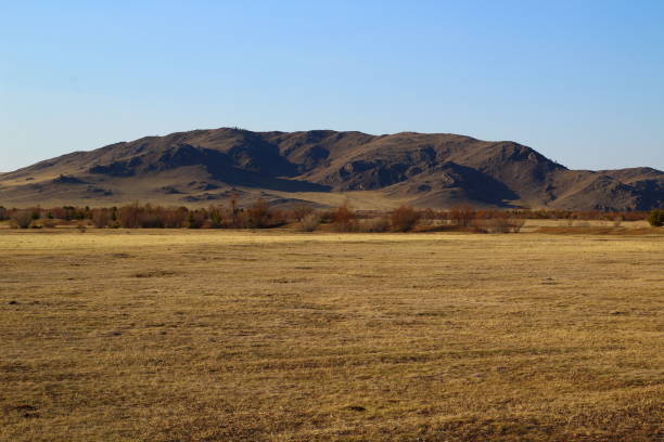 istock Landscape mountain and yellow spring meadow 1318987915