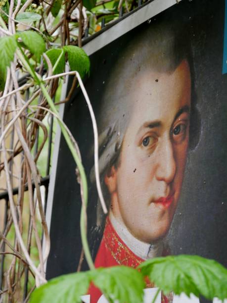 istock Rank plants around Mozart 1318990356