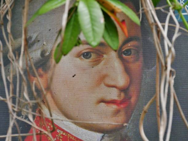 istock Tends in front of Mozart's face 1318990384