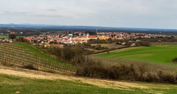 Historical Valtice town with chateau in Lednicko - valticky areal in Czech republic from Barfußweg Warte view tower above Schrattenberg village on austrian - czech borders during cloudy springtime day