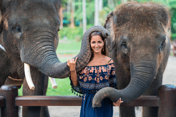 istock smiling girl posing with two elephants hugging her trunk 1318990870