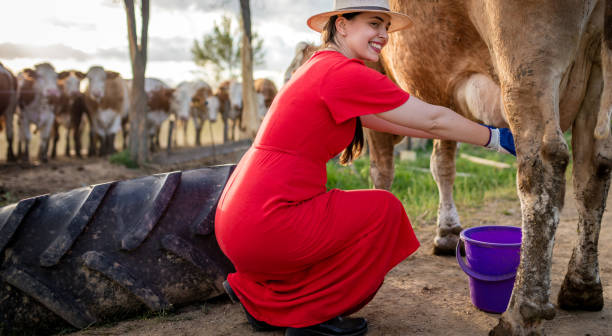 istock Happy woman milking a cow 1318991618