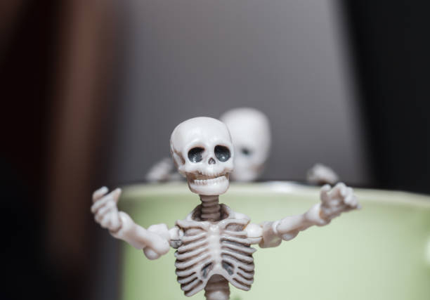 Small skeleton toy. Skeleton spreading out his arms for hug