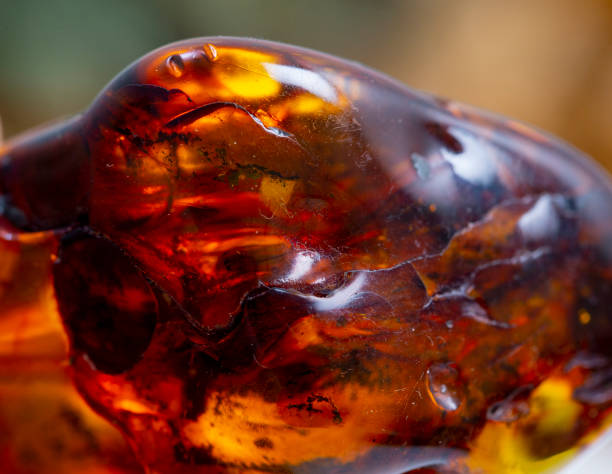 istock amber, mineral specimen stone rock geology gem crystal 1318994321