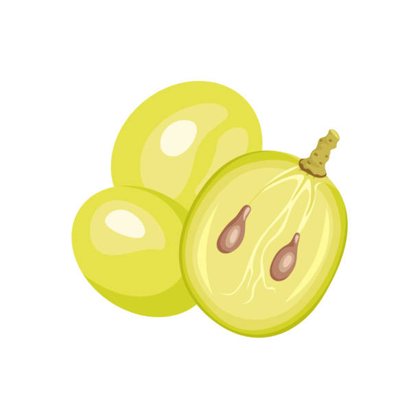 illustrations, cliparts, dessins animés et icônes de moitié de baie de raisin et baies vertes entières d’isolement sur le fond blanc. illustration vectorielle dans le modèle plat de dessin animé. - grape nature design berry fruit