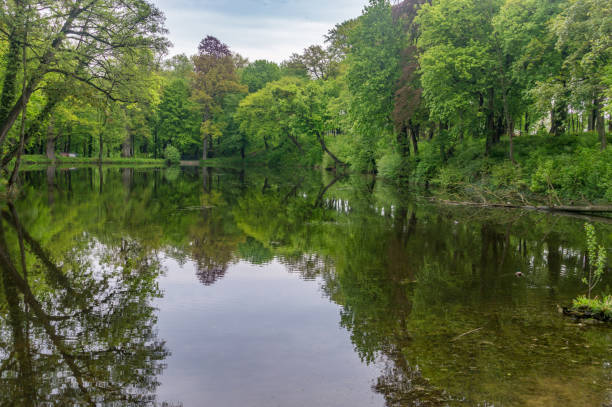 istock Green public park with pond in Poland. 1318995326