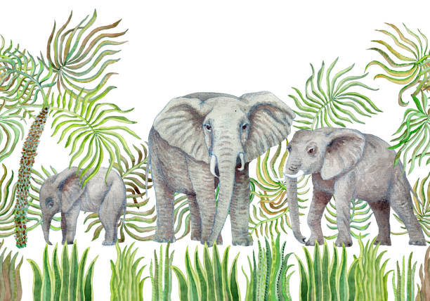 nahtlose grenze muster von aquarell savanne safari tiere. hand bemalt afrikanische elefanten, palmenblätter, gras, kräuter, busch isoliert auf weißem hintergrund - backgrounds elephant illustration and painting india stock-grafiken, -clipart, -cartoons und -symbole