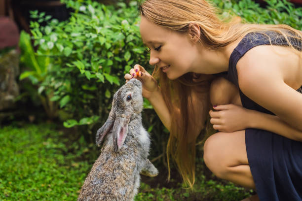 femme retenant un lapin. test cosmétique sur animal de lapin. sans cruauté et mettre fin au concept de maltraitance animale - rat race photos et images de collection