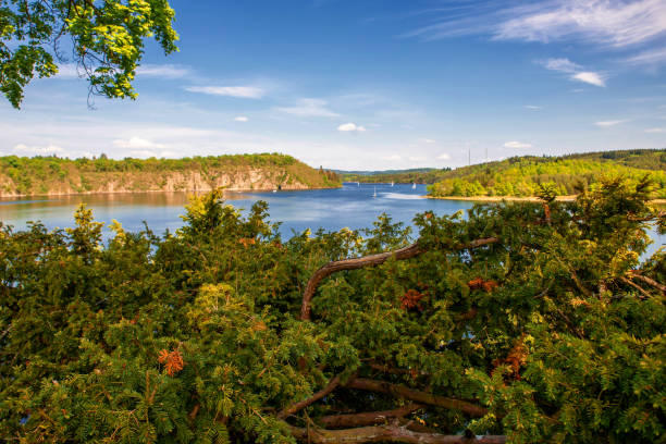 istock Dam Orlik with sailing boat, coniferous vegetation. 1318998048