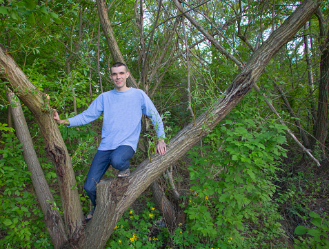 A young man climbed into a willow tree in the nature.