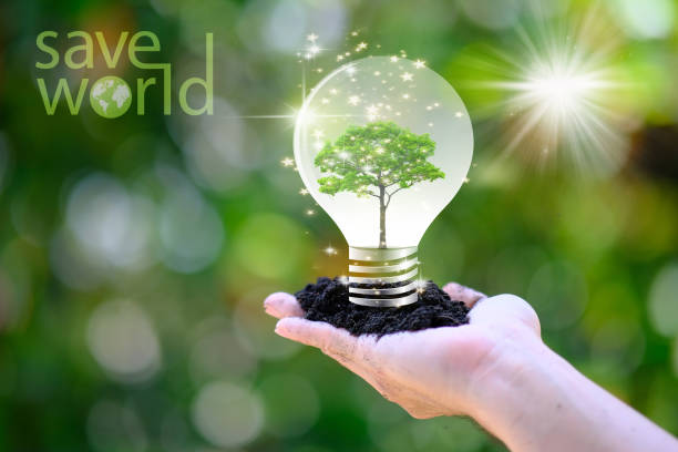 istock Human hand holding energy saving light bulb and save world concept, World environment day concept,save world and business eco concept 1318999758