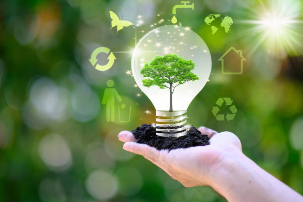 istock Human hand holding energy saving light bulb and save world concept, World environment day concept,save world and business eco concept 1319000303