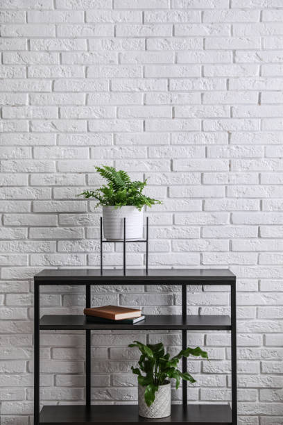 istock Beautiful fresh potted ferns on black table near white brick wall. Space for text 1319000319
