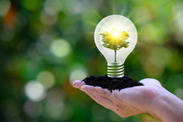 istock Human hand holding energy saving light bulb and save world concept, World environment day concept,save world and business eco concept 1319000395