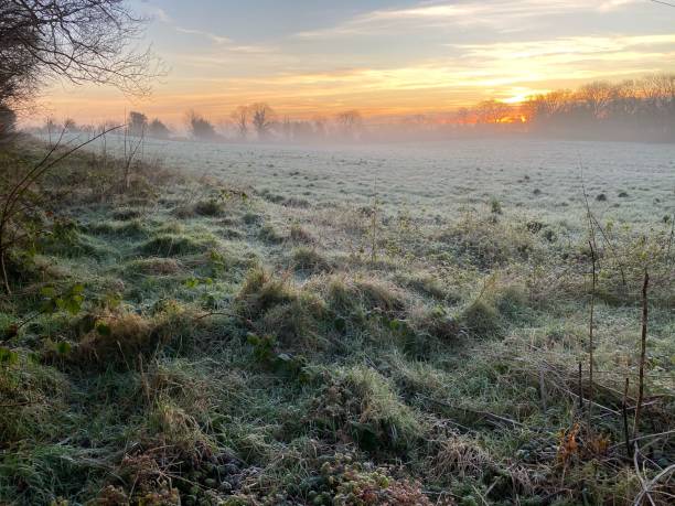 Frosty winter morning Ireland stock photo