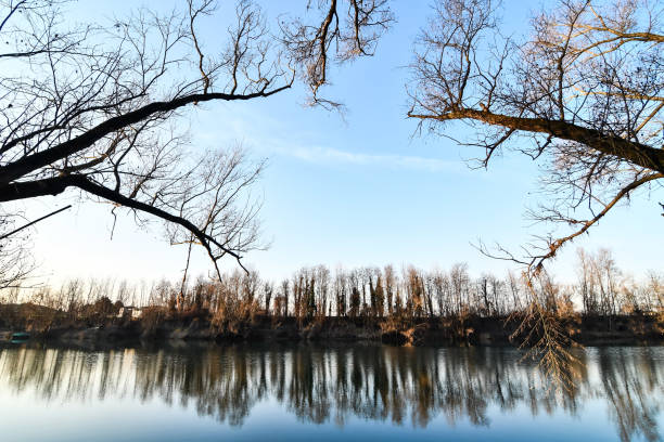 istock reflection of trees in water, photo as a background 1319002419