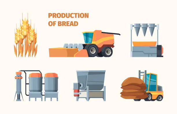 Vector illustration of Wheat harvesting. Bread production bakery industry tasty food from grain seeds farm machines and retail markets garish vector flat infographic