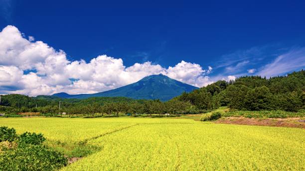 Summer scenery in Aomori prefecture, Japan