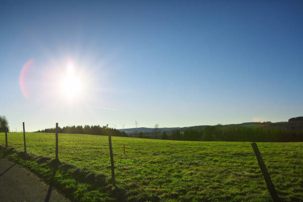istock Spring landscape background with bright sun and green grass field. 1319006076