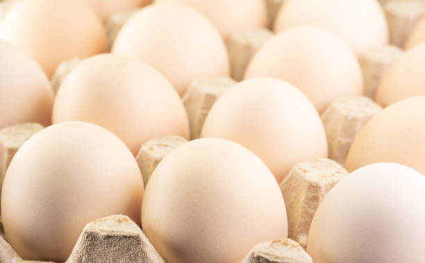istock The eggs are in the cells 1319007392