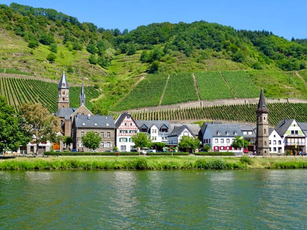 Rural Germany and vineyards viewed from the river Rhine