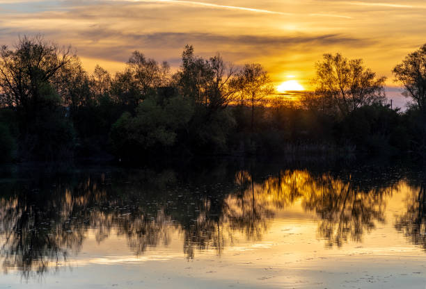 istock Sunrise at a small lake 1319010759