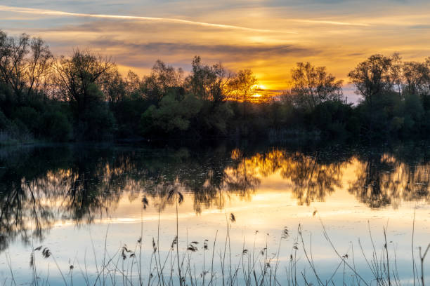 istock Sunrise at a small lake 1319010883