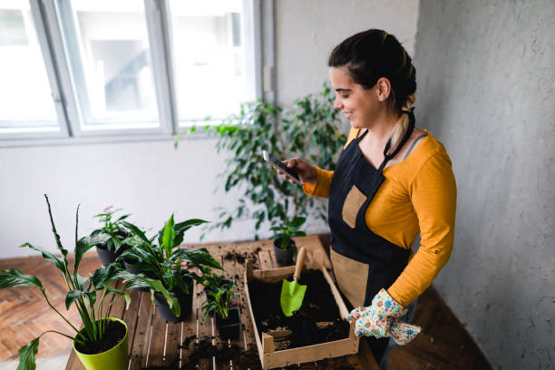 istock Smiling female florist using smartphone 1319012152