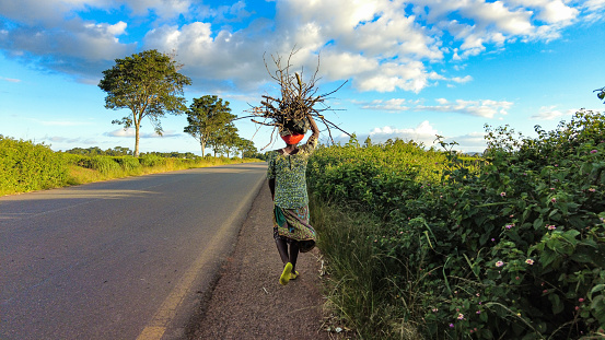 Rear view Young African woman carrying a bundle of firewood on her head next to a road in Souther Malawi