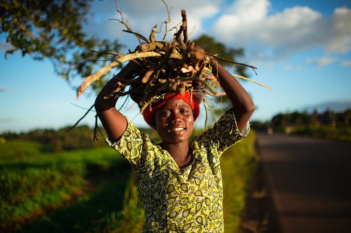 Selective Focus Portrait of Teenage African woman carrying a bundle of firewood on her head next to a tea plantation Malawi