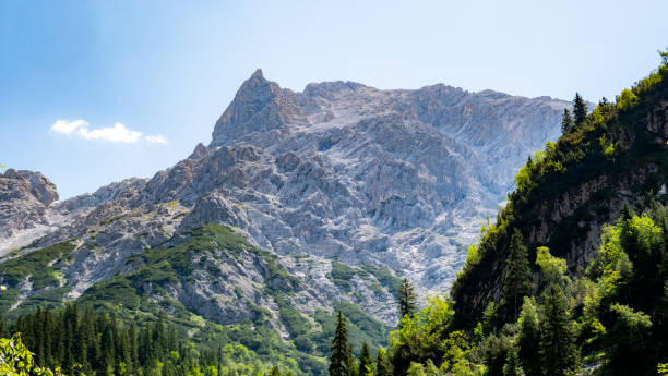 istock Beautiful Bavarian landscape in the Alps 1319013811